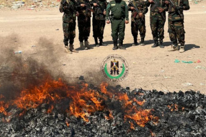 الادارة العامة لمكافحة المخدرات بقوات  الحزام الأمني تُتلف كمية كبيرة من الحبوب المخدرة