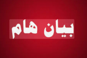 بيان صادر عن فريق الرقابة والتوجيه الرئاسي - محافظة أبين