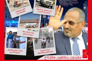 سياسيون يطلقون وسم #المستقبل_الواعد_الجنوب_ينتصر ويشيدون بانتصارات القوات الجنوبية العربية