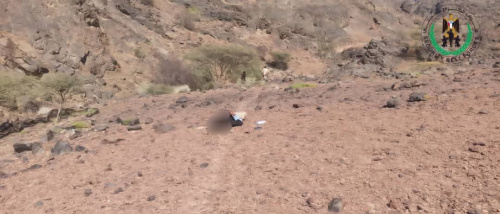 قوات حزام لحج تعثر على جثة قائد حضيرة في درع الوطن بالمسيمير