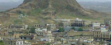 في واقعة مؤلمة.. تسميم مواشي مواطن في مريس