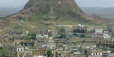 في واقعة مؤلمة.. تسميم مواشي مواطن في مريس