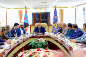 القيادة التنفيذية العليا تشيد بجهود تطبيع الأوضاع بوادي حضرموت والمهرة