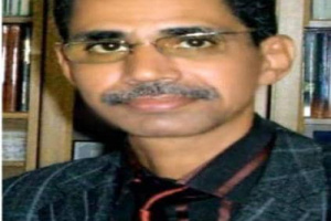 جمهورية النخيل والعسل..تؤرخنا جنوباً عربياً