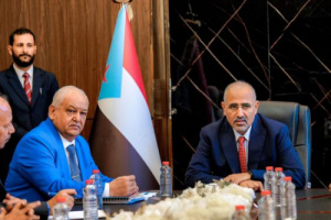 الوزير الوالي: الجنوب يواجه الغزو الرابع