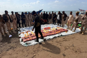 الحملة الأمنية لقوات العمالقة الجنوبية تضبط ربع طن من المخـدرات على متن قارب في باب المندب