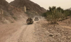 تنظيم القاعدة يعيد سيطرته على وادي المسيني غرب المكلا