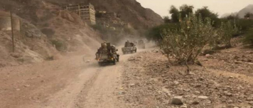 تنظيم القاعدة يعيد سيطرته على وادي المسيني غرب المكلا