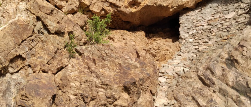 مشايخ حمادة يحذّرون من كارثة إنسانية وشيكة في جبل الهَجر بعد الغارات السعودية على الضالع