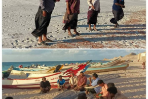 نفوق الروبيان في شاطئ محمية دطوح بسقطرى يثير قلقًا بيئيًا واسعًا