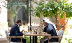 رئيس الإمارات ونظيره المصري يبحثان التطورات في المنطقة