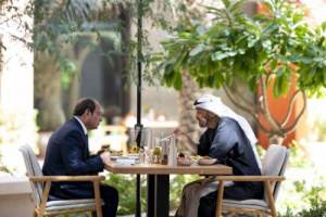 رئيس الإمارات ونظيره المصري يبحثان التطورات في المنطقة