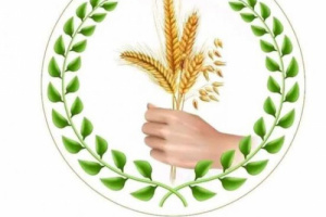 المجلس الأعلى للمنظمات الجنوبية يدين العنف المفرط ضد متظاهري شبوة