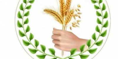 المجلس الأعلى للمنظمات الجنوبية يدين العنف المفرط ضد متظاهري شبوة