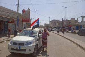 حملة إعلامية تحشد الجماهير لمليونية الوفاء بشوارع زنجبار وجعار