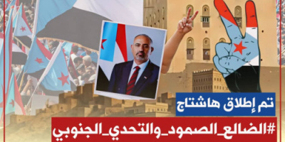 سياسيون جنوبيون يطلقون هاشتاج #الضالع_الصمود_والتحدي_الجنوبي