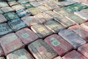 الحملة الأمنية لقوات العمالقة تضبط قارباً يحمل 623 كيلو من المخدرات قبالة ساحل رأس العارة