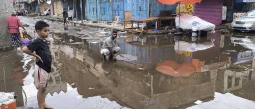 يحدث الآن.. حملة نظافة صباحية في الشيخ عثمان 