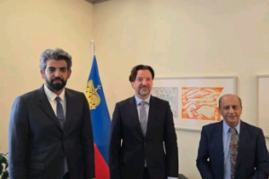 عمرو البيض يبحث مع سفير ليختنشتاين في جنيف قضايا حقوق الإنسان في الجنوب