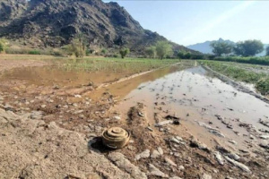 مقتل وإصابة 73 مدنياً بسبب الألغام في اليمن