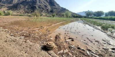 مقتل وإصابة 73 مدنياً بسبب الألغام في اليمن