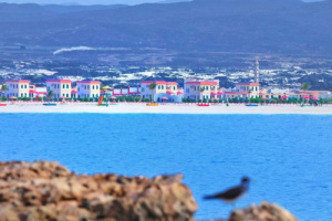 مطالبات عاجلة بالكشف عن مصير شقيقين مفقودين قبالة سواحل شبوة