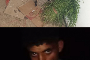 لحج.. الأجهزة الأمنية في المسيمير تطيح بعصابة تمتهن السرقة