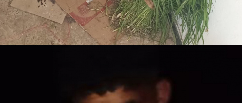 لحج.. الأجهزة الأمنية في المسيمير تطيح بعصابة تمتهن السرقة