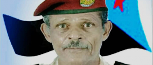 مؤامرة الاستنساخ الكرتوني حين يرتطم الغدر السعودي بوعي الشعب الجنوبي