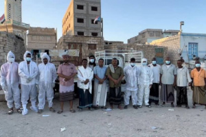 المجلس الانتقالي بالشحر يدشّن حملة رش ضبابي شاملة لمكافحة الحشرات وتعزيز الصحة العامة