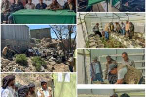 تدشين دورة تنشيطية للمدربين حول تشغيل وإدارة وصيانة وحدات الزراعة المائية في لحج