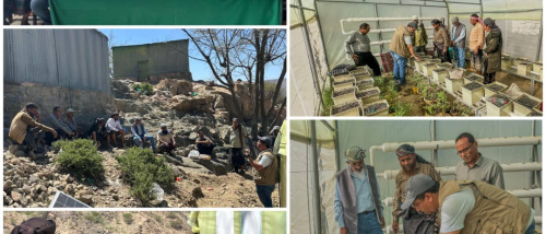 تدشين دورة تنشيطية للمدربين حول تشغيل وإدارة وصيانة وحدات الزراعة المائية في لحج