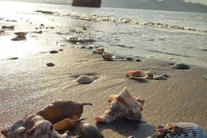 وسط حاله من الذعر..غرق شابين وفقدان آخرين في حادثة بساحل الحسوة 