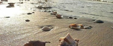 وسط حاله من الذعر..غرق شابين وفقدان آخرين في حادثة بساحل الحسوة 