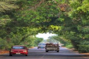 مجهولون يلقون قنبلة صوتية على مبنى نيابة في الكود بأبين قبل تبادل لإطلاق النار