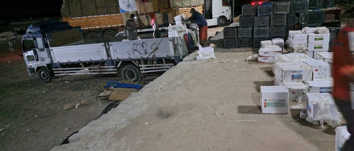 قوات الامن الوطني بمحافظة لحج تضبط كمية من المبيدات الحشرية التالفة