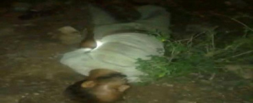 العثور على جثة مجهولة الهوية في جبل حبشي غرب تعز اليمنية
