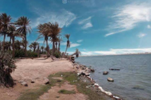 إصابة قاتلة من سمكة حادة تنهي حياة صياد في سواحل الخوخة