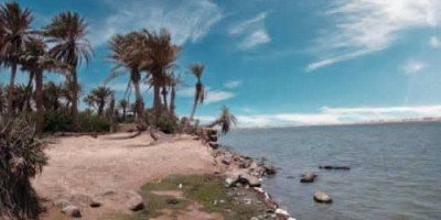 إصابة قاتلة من سمكة حادة تنهي حياة صياد في سواحل الخوخة