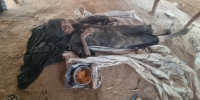 وفاة زوجة نازح بعد أسابيع من رحيل زوجها