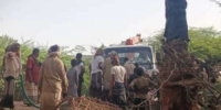 حريق واسع يلتهم منازل ونحو 50 شجرة نخيل في شبوة 