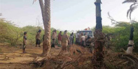 شبوة.. حريق يلتهم منازل ويقضي على عشرات أشجار النخيل
