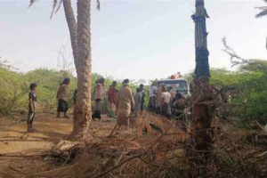شبوة.. حريق يلتهم منازل ويقضي على عشرات أشجار النخيل