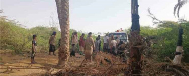 شبوة.. حريق يلتهم منازل ويقضي على عشرات أشجار النخيل