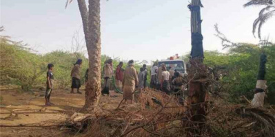 شبوة.. حريق يلتهم منازل ويقضي على عشرات أشجار النخيل
