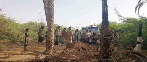 شبوة.. حريق يلتهم منازل ويقضي على عشرات أشجار النخيل