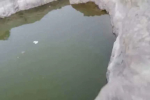 مأساة صادمة..وفاة امرأة وحفيدتها غرقاً داخل حاجز مائي بالضالع 
