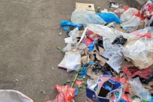 القمامة تغزو أحياء الشيخ عثمان والأهالي يطالبون بحلول عاجلة