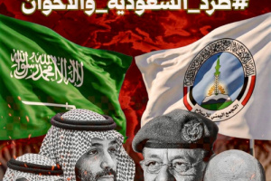 العميد النسي: وجود السعودية في الجنوب أصبح أكثر خطورة
