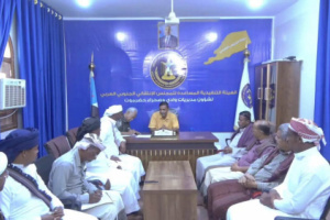 التميمي يلتقي قيادة تنفيذية انتقالي السوم ويشيد بجهودها التنظيمية